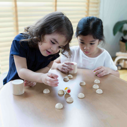 PlanToys Shake n Flip