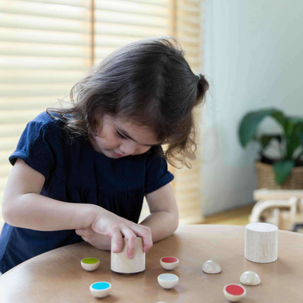 PlanToys Shake n Flip