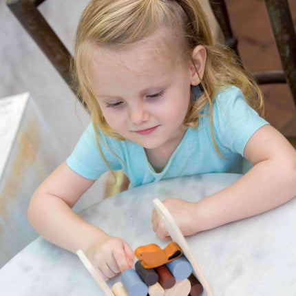 PlanToys Stämme ziehen Geschicklichkeitsspiel Steckspiel