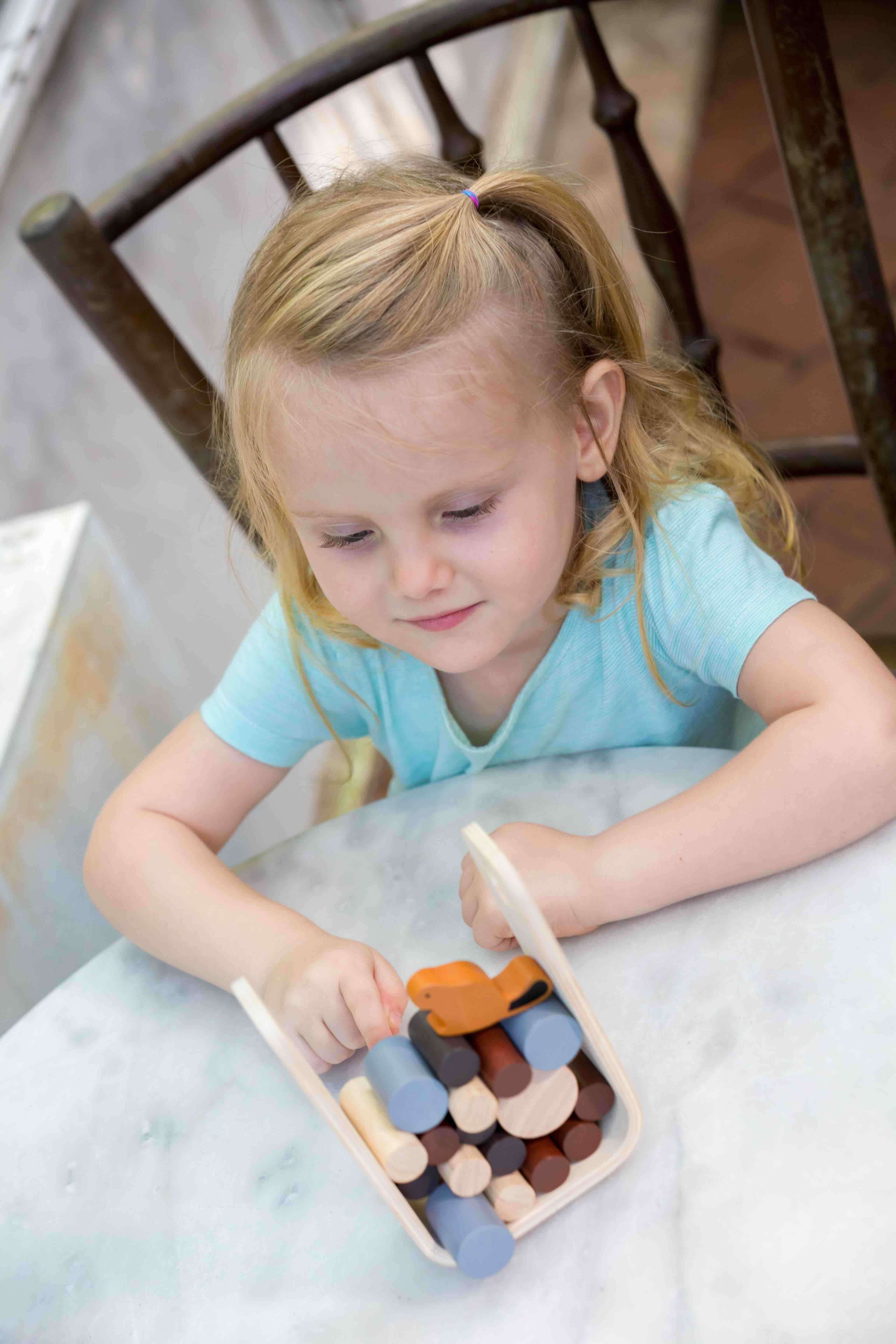 PlanToys Stämme ziehen Geschicklichkeitsspiel Steckspiel - Heldenspielzeug