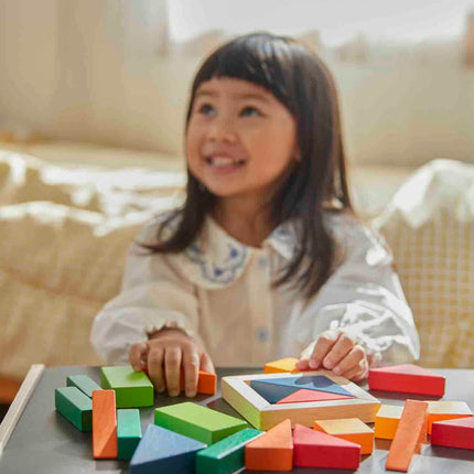 PlanToys Holzbausteine für geometrische Formen