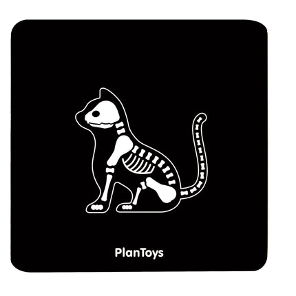 PlanToys Tierarzt Set Spielset (8 Teile)
