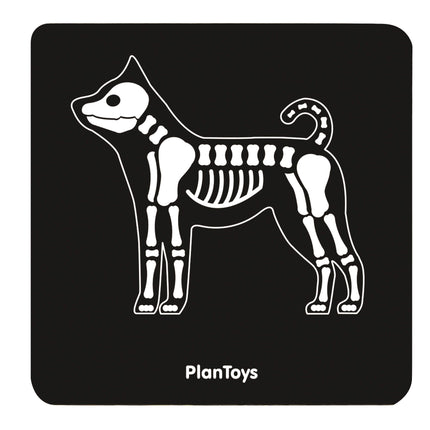 PlanToys Tierarzt Set Spielset (8 Teile)