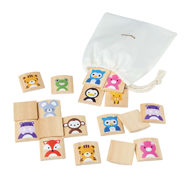 PlanToys Tier Memory