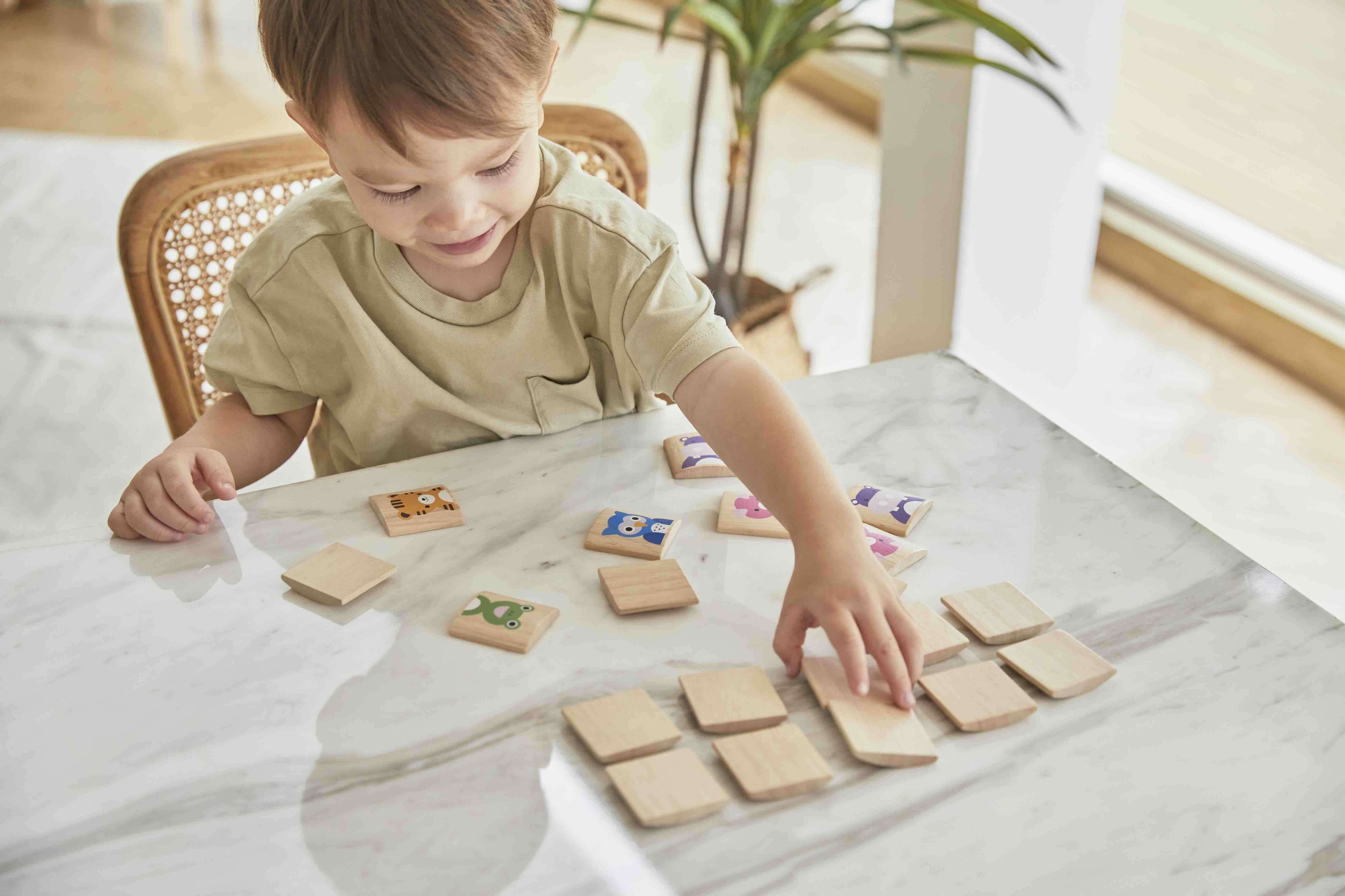PlanToys Tier Memory - Heldenspielzeug