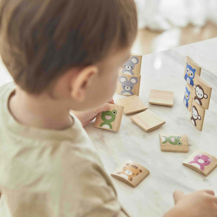 PlanToys Tier Memory