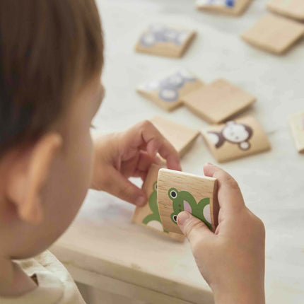PlanToys Tier Memory