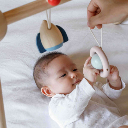 PlanToys Spielbogen Babygym Orchard