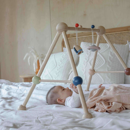 PlanToys Spielbogen Babygym Orchard