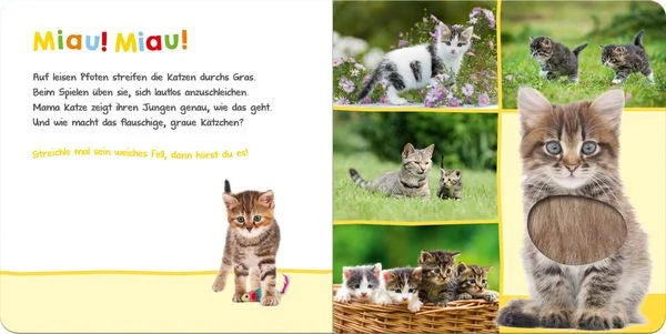 Hör mal rein, wer kann das sein? – Lieblingstiere