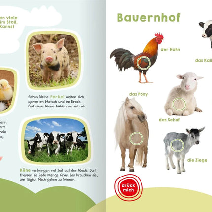 Mein großes Buch der Tiergeräusche