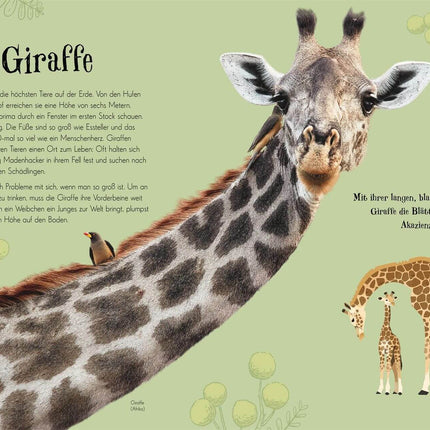 Wundervolle Welt der Tiere