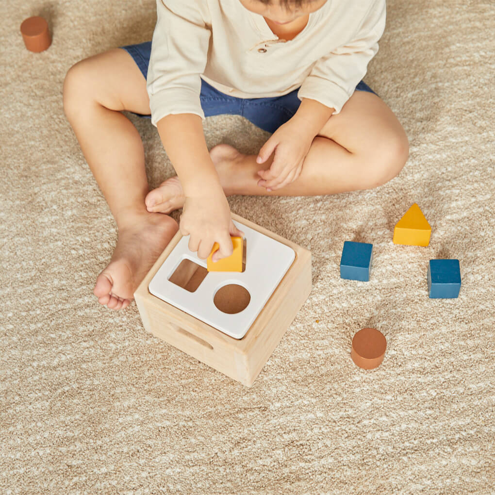 PlanToys Formsortierer Pastell